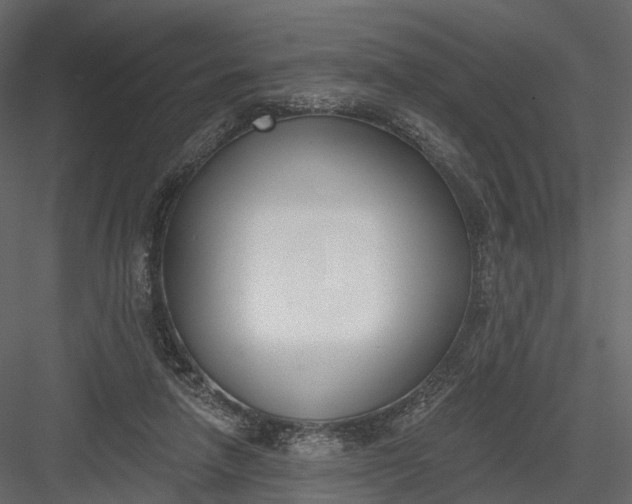 X0000083530258200702240026