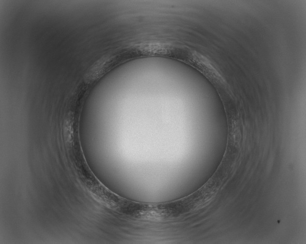 X0000083530259200702240026