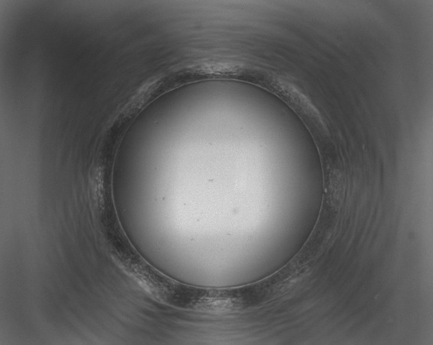 X0000083530260200702240026