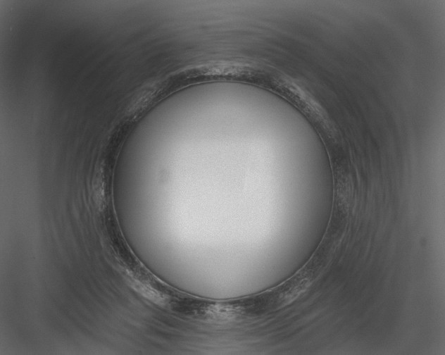 X0000083530261200702240026