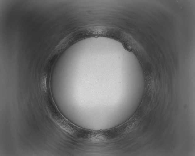 X0000083530262200702240026