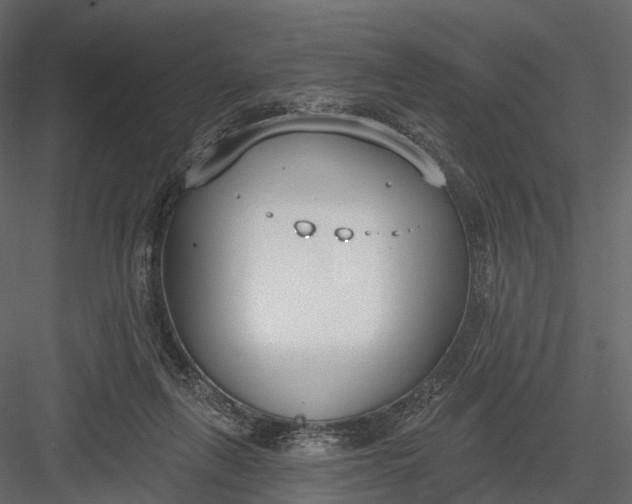 X0000083530263200702240026