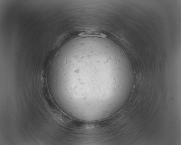 X0000083530264200702240026