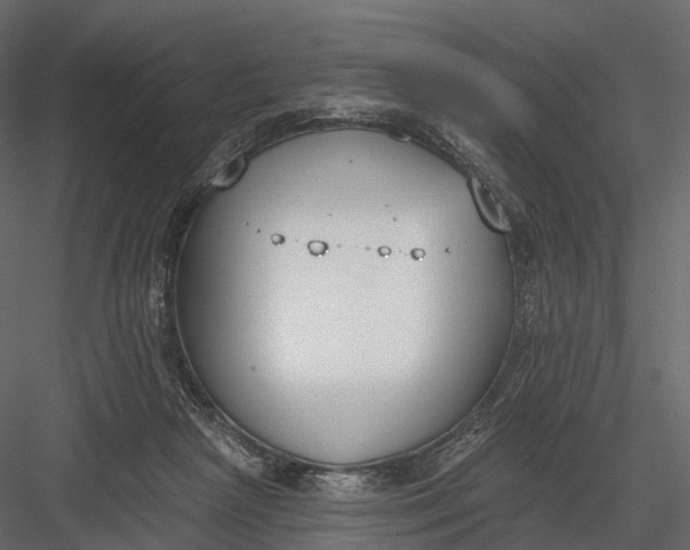 X0000083530265200702240026