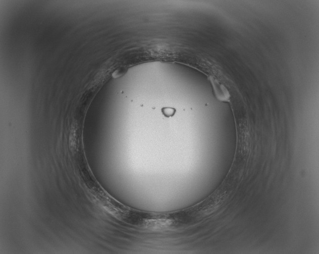 X0000083530266200702240026