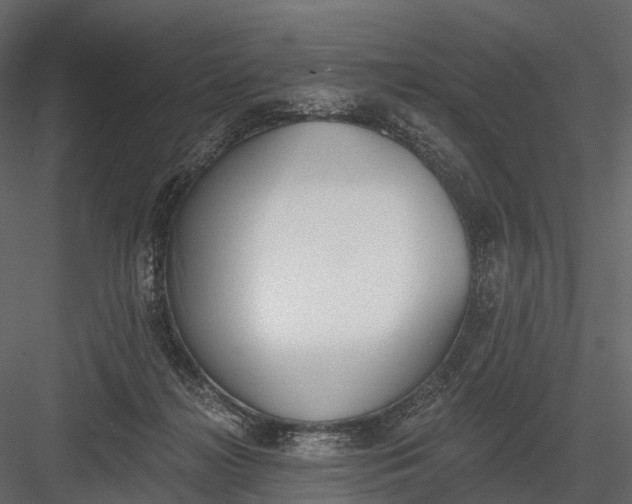 X0000083530268200702240026