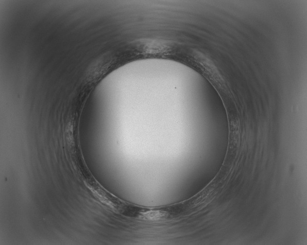 X0000083530269200702240026