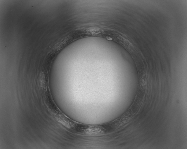 X0000083530270200702240026