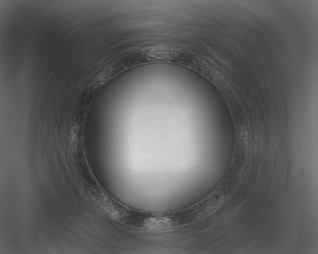 X0000083530271200702240026