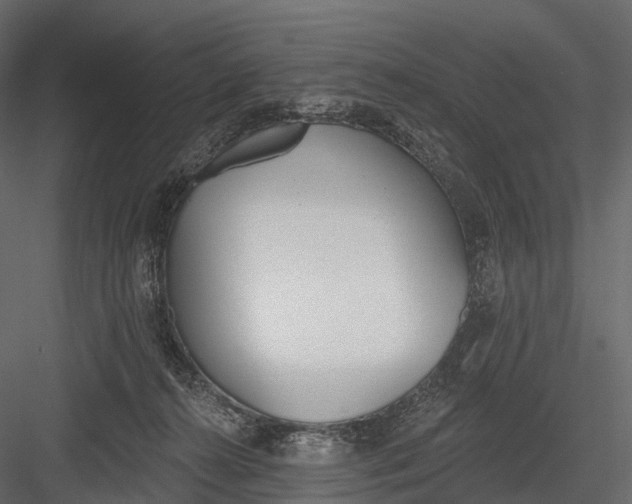 X0000083530272200702240026