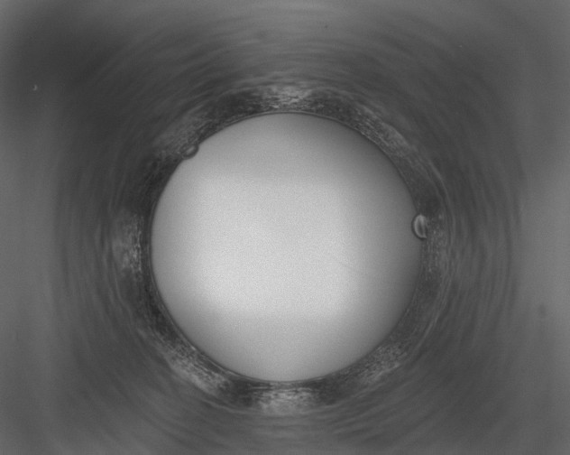 X0000083530274200702240026