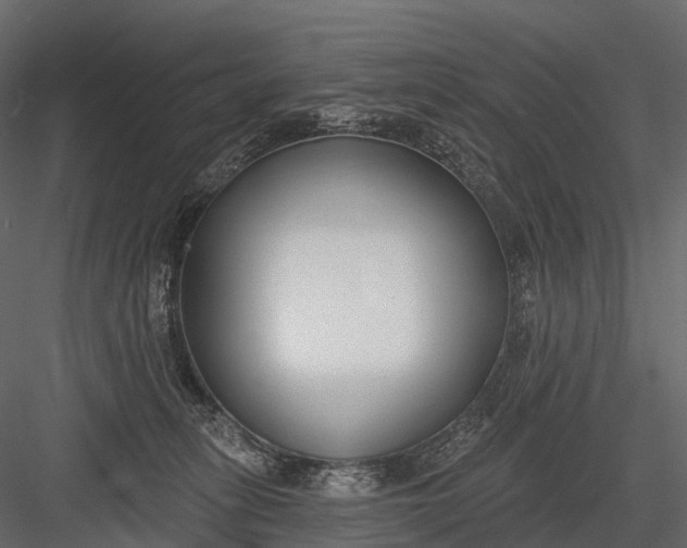 X0000083530275200702240026