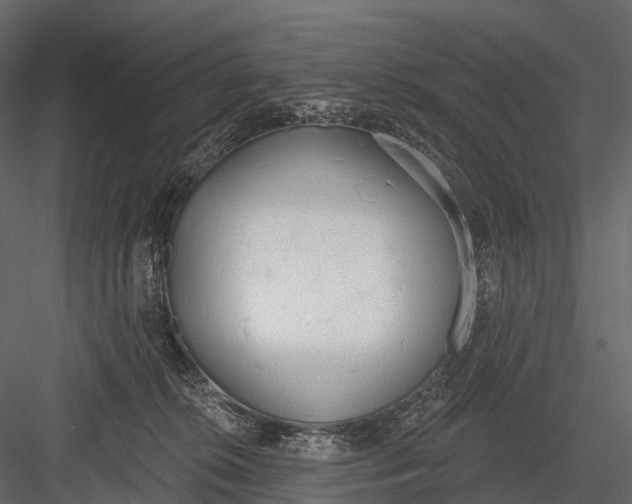 X0000083530276200702240026