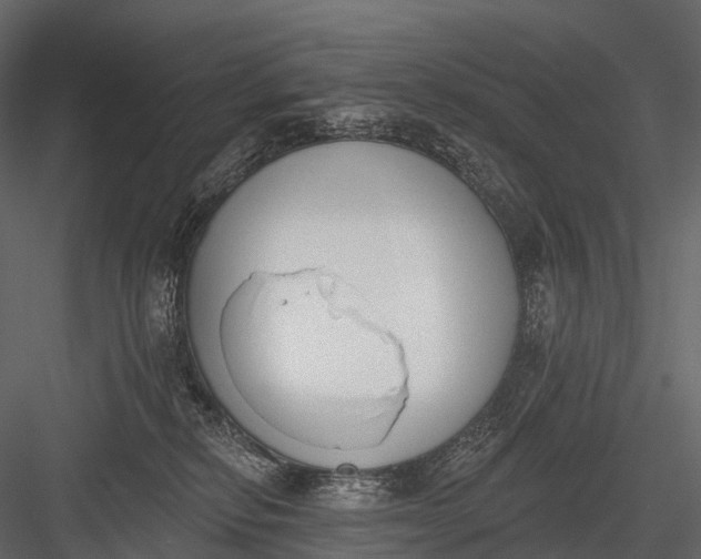 X0000083530278200702240026