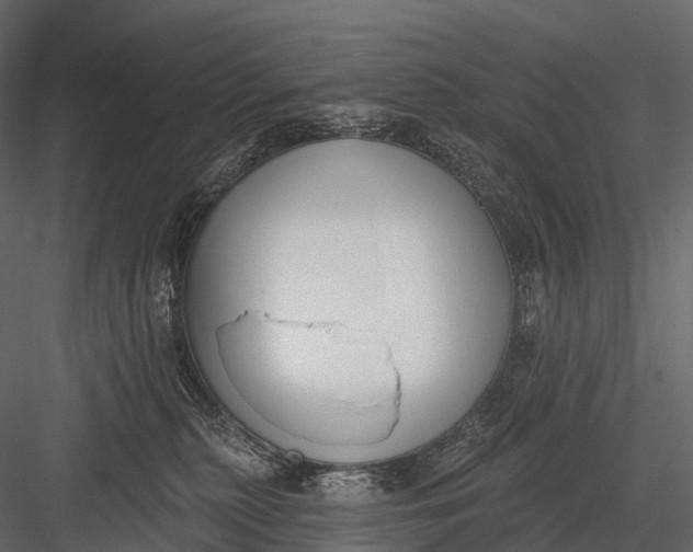 X0000083530279200702240026