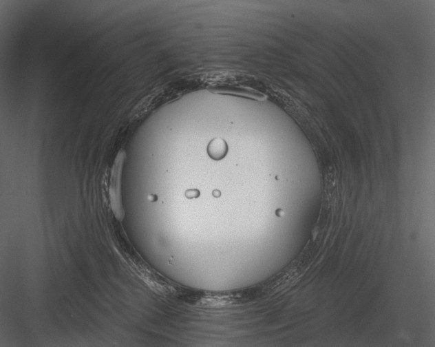 X0000083530280200702240026