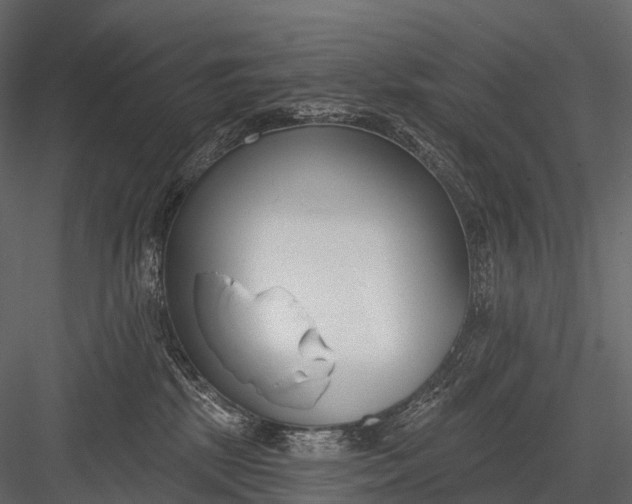 X0000083530281200702240026