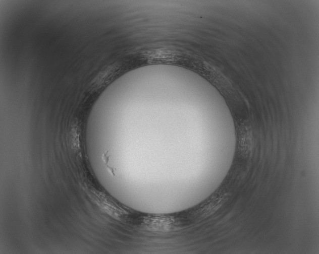 X0000083530282200702240026