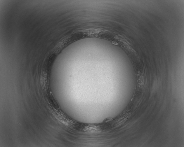 X0000083530283200702240026