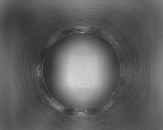 X0000083530285200702240026