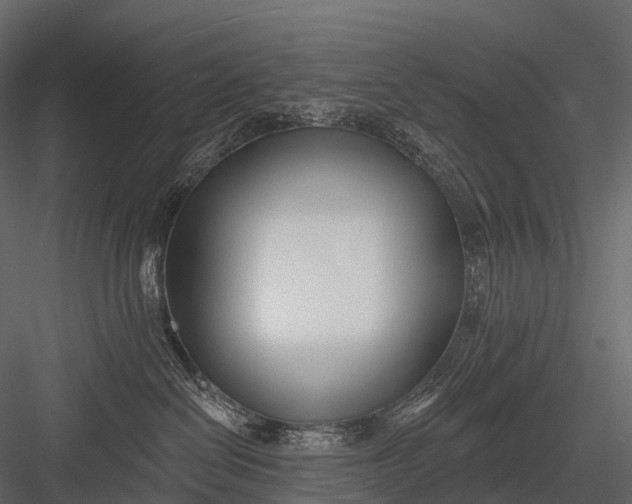 X0000083530286200702240026