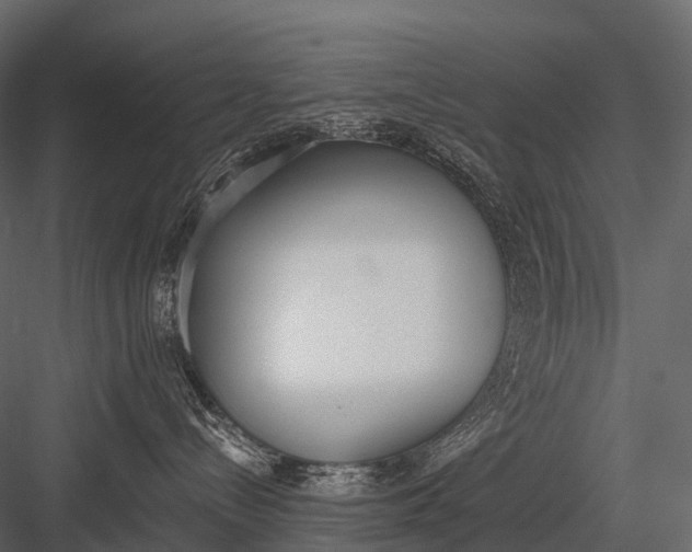 X0000083530288200702240026