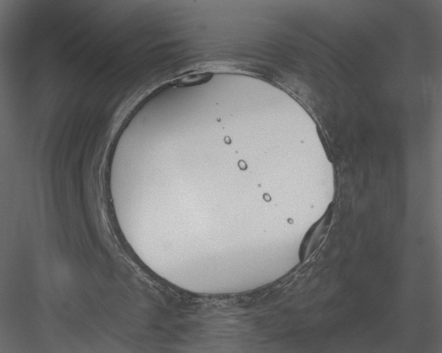 X0000083530289200702240025