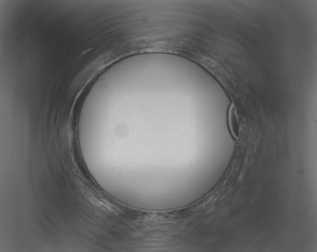 X0000083530290200702240025