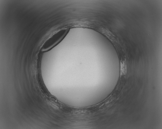 X0000083530291200702240025