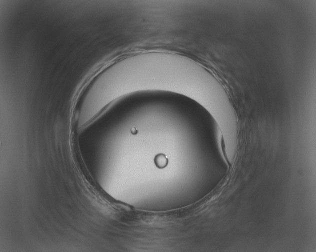 X0000083530293200702240025