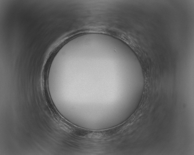 X0000083530294200702240025