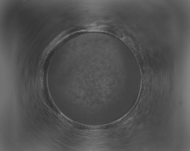 X0000083530295200702240025