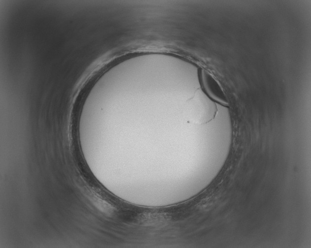 X0000083530296200702240025