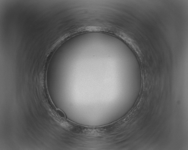 X0000083530297200702240025