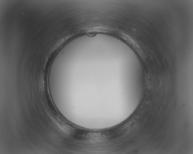 X0000083530298200702240025