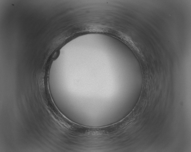 X0000083530299200702240025