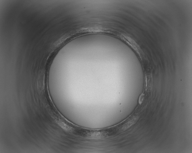 X0000083530301200702240025