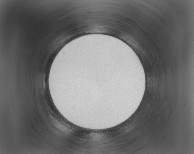 X0000083530302200702240025