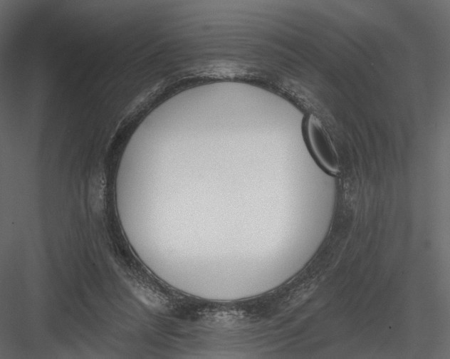 X0000083530304200702240025