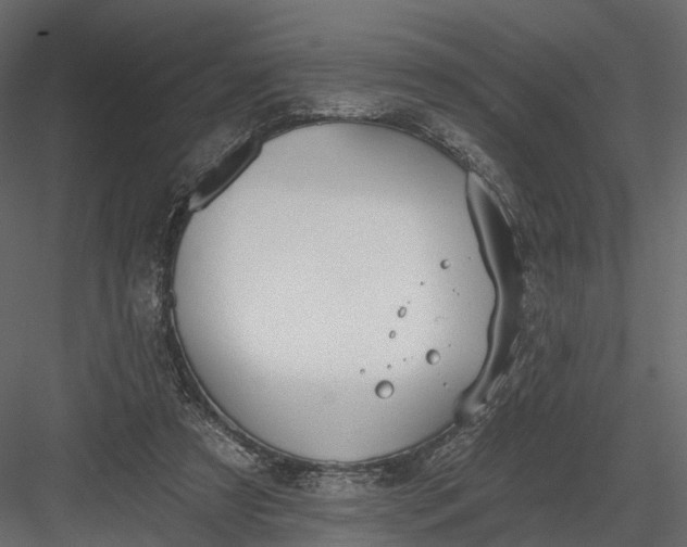 X0000083530305200702240025