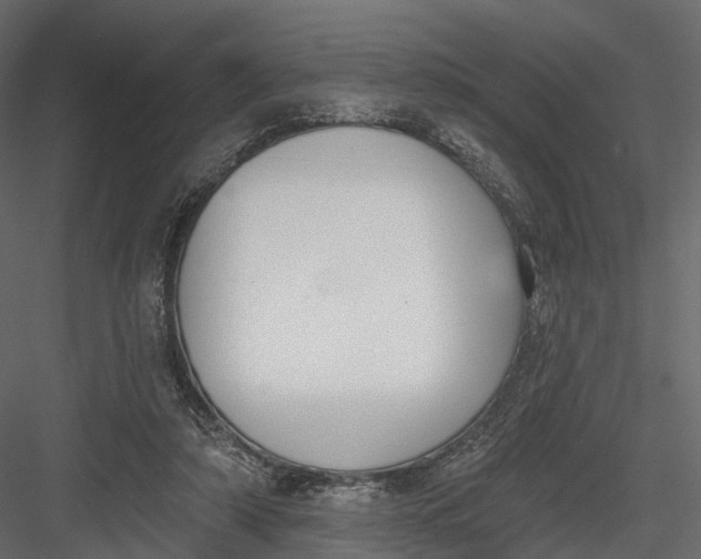 X0000083530306200702240025