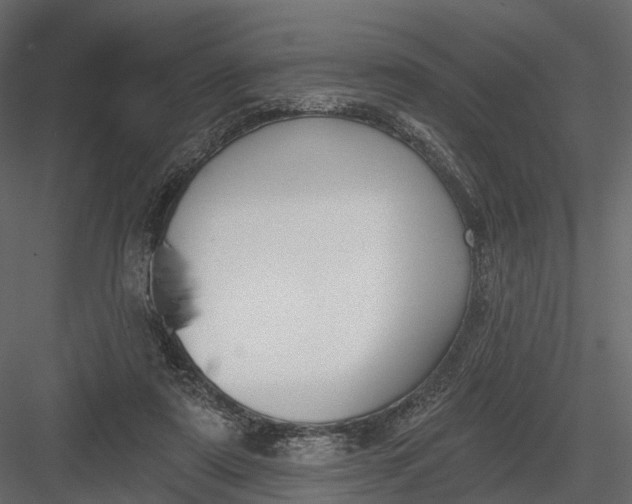 X0000083530307200702240025