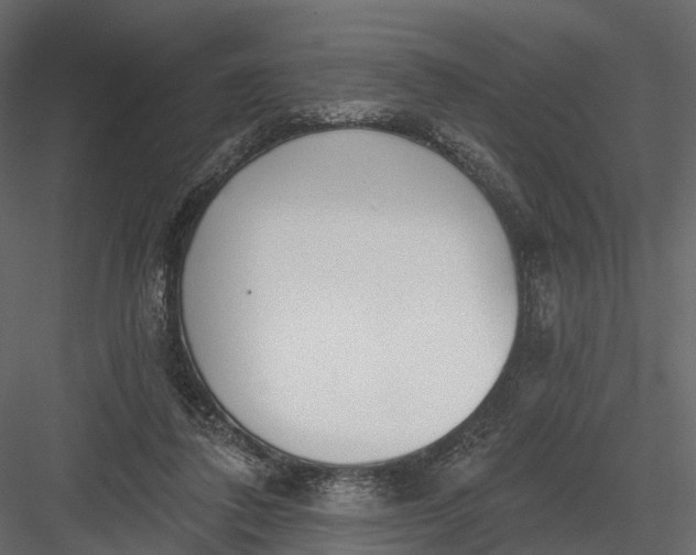 X0000083530308200702240025