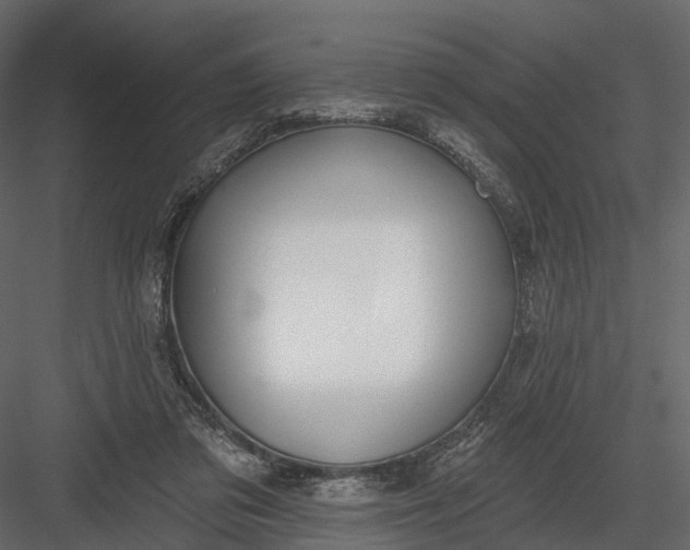 X0000083530309200702240025