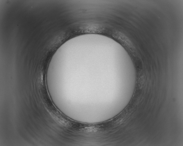 X0000083530310200702240025