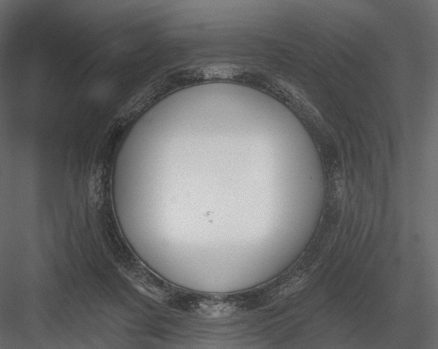 X0000083530311200702240025