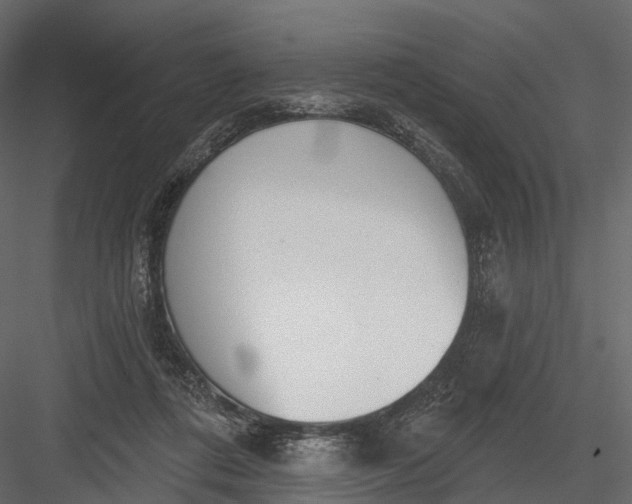 X0000083530312200702240025