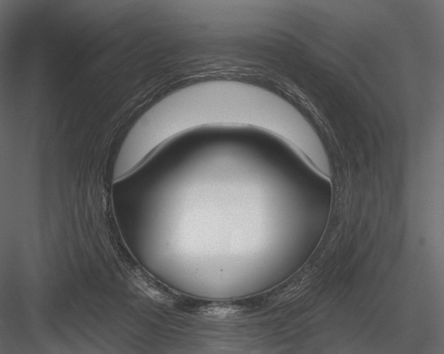 X0000083530313200702240025