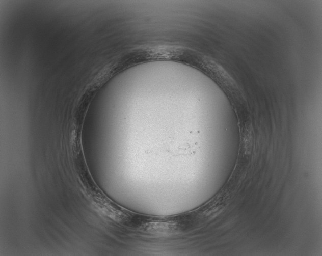 X0000083530314200702240025