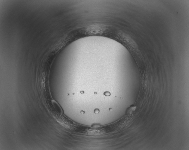 X0000083530315200702240025